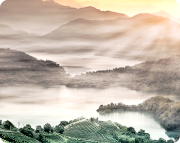 대만 아리산 지역, 안개에 싸인 계단식 산악 풍경과 구름 바다 같은 안개층이 겹겹이 펼쳐져 있다.